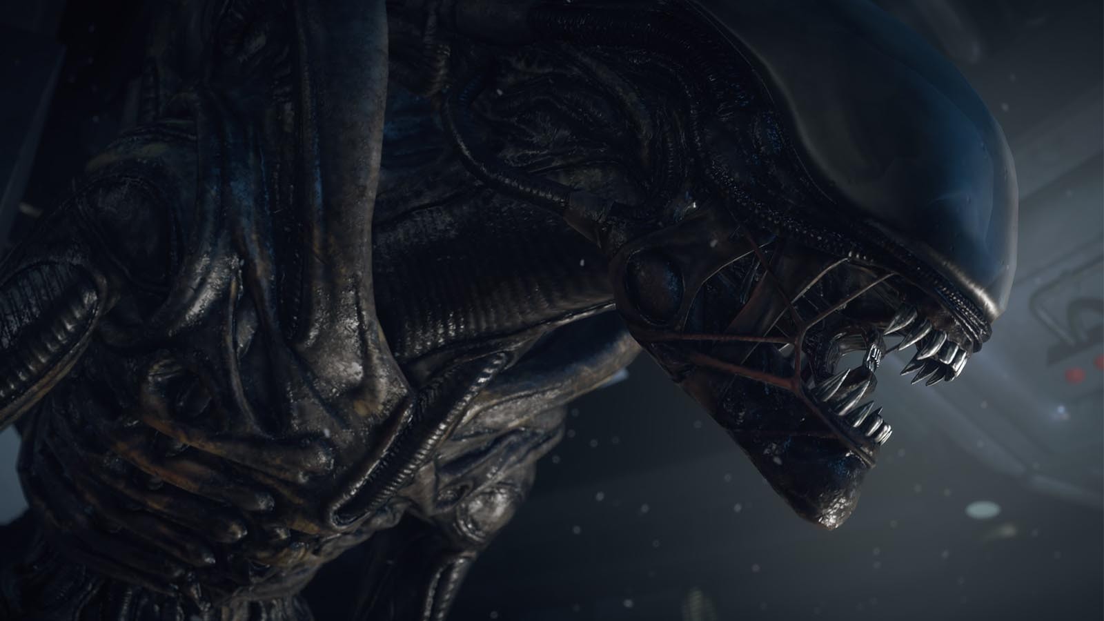 Alien: Blackout Is Expected to Be a Sequel to 'Isolation,' Rumor Says