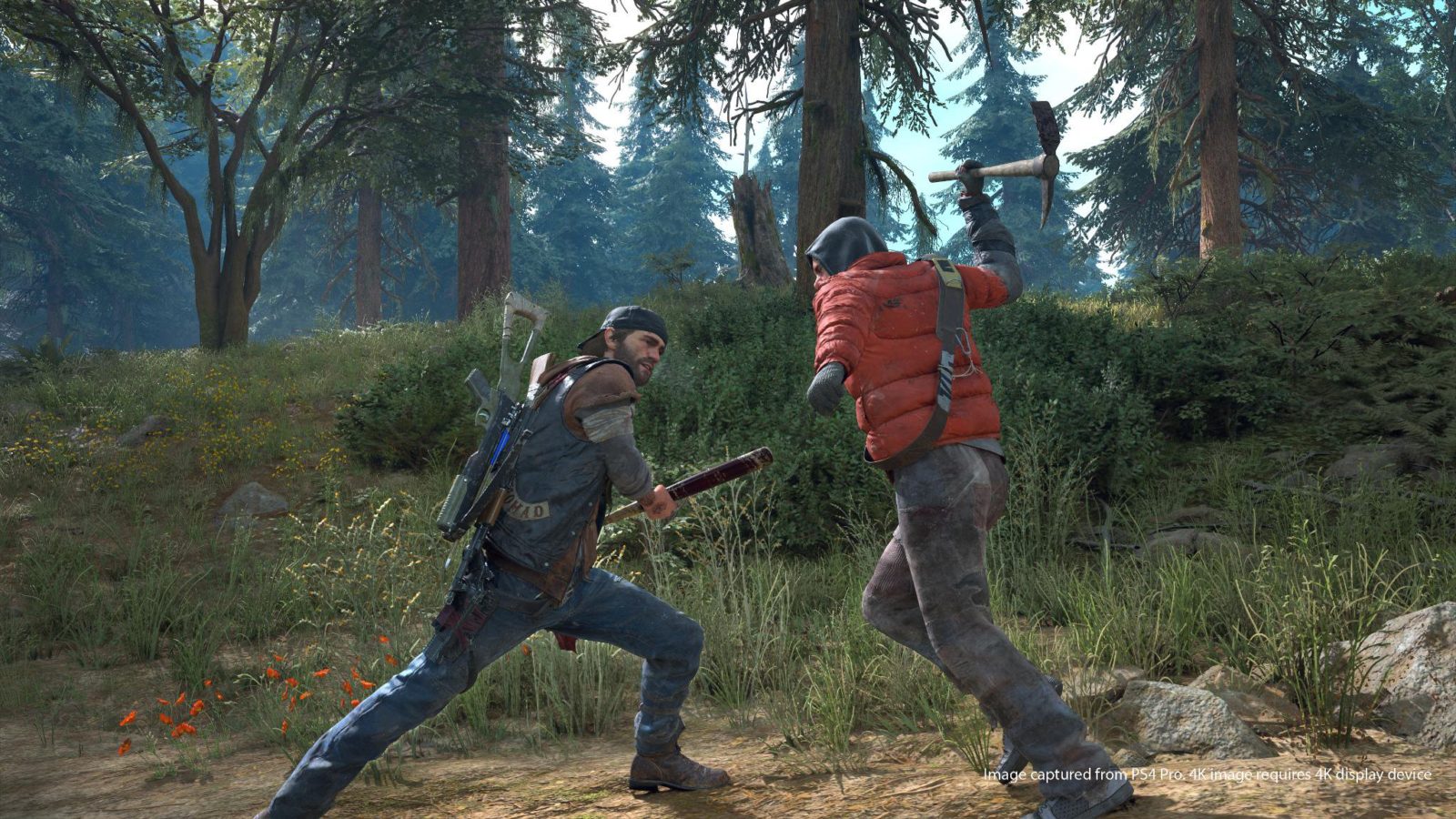 Days Gone Gets a New Trailer and Impresses