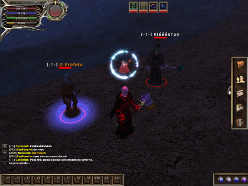 Image 4 from the Erinia section in Meet the Brazilian MMORPGs Most Beloved by Fans