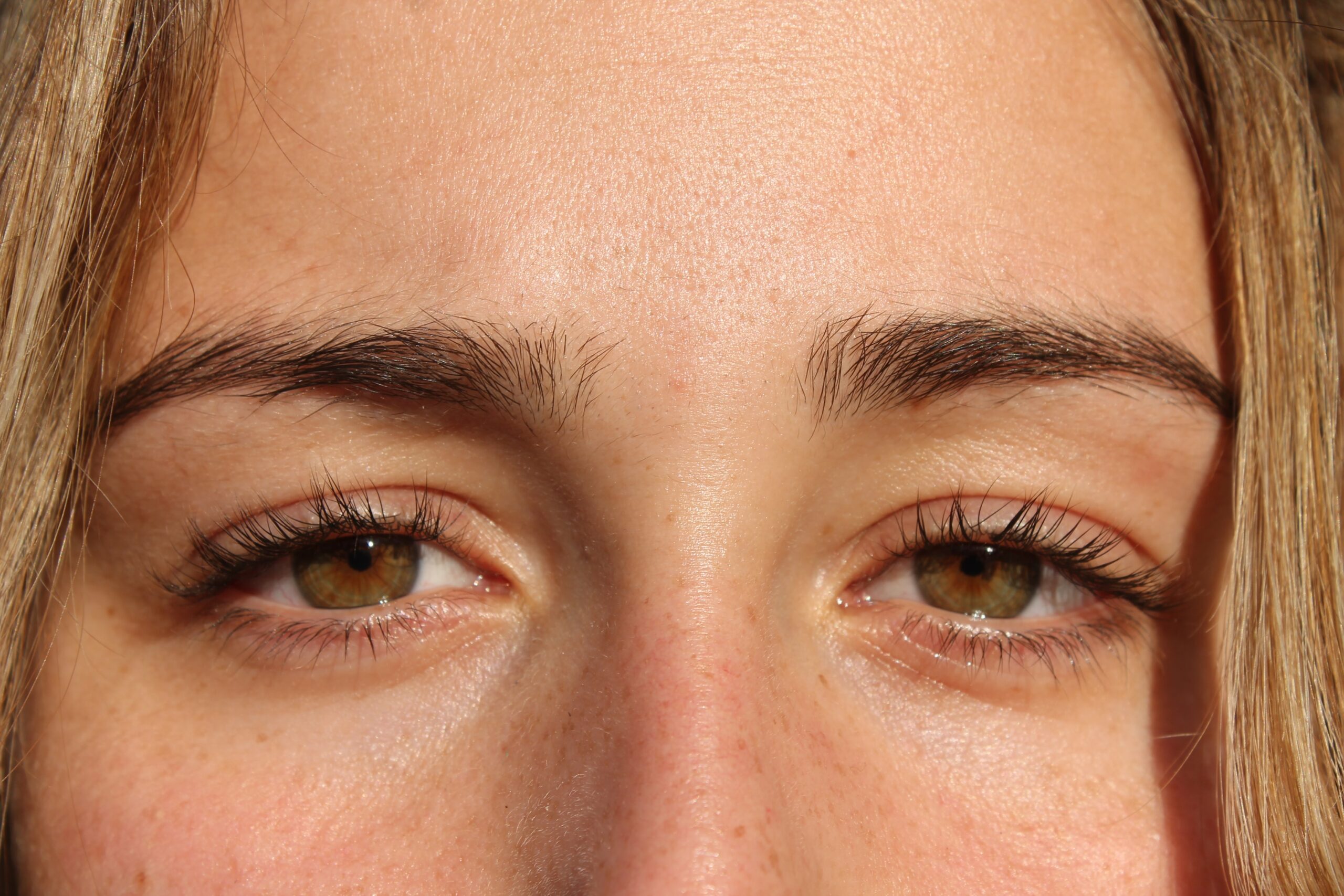 Are Brown-Eyed People More Trustworthy? Are Light-Eyed People Not? Understand