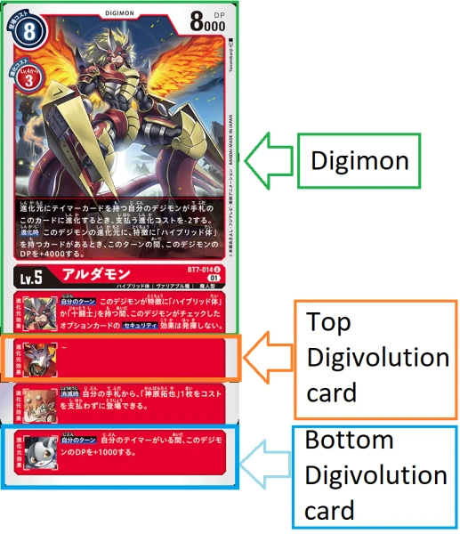 How cards appear in play along their evolutionary line. Image: DigimonCardGame Wiki.